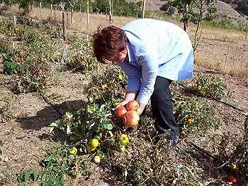 Agriturismo Il Noceto Santa Domenica Vittoria